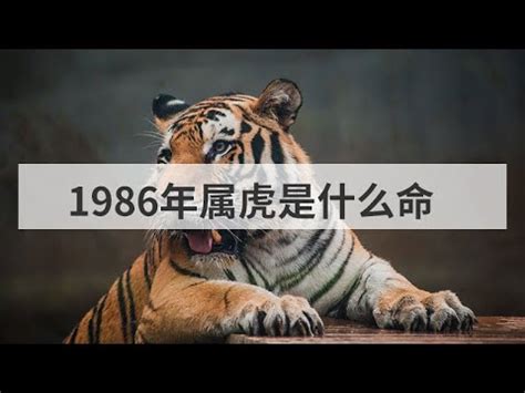 1986屬虎女